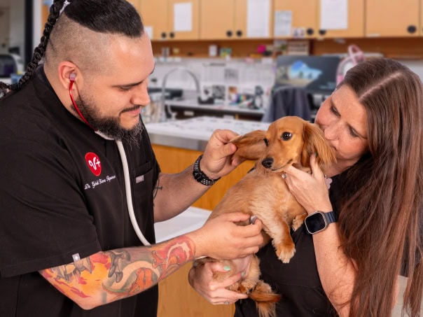 PetSmart Veterinary Services